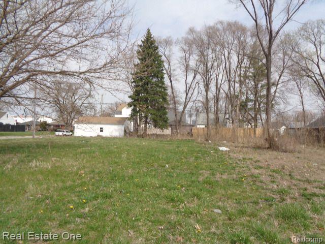 12940 DWYER Street, Hamtramck, MI 48212 — Photo 2