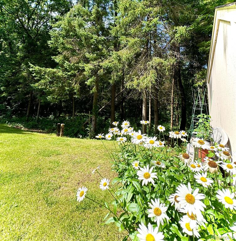 100 JAMESTOWN Drive, Metamora, MI 48455 — Photo 36