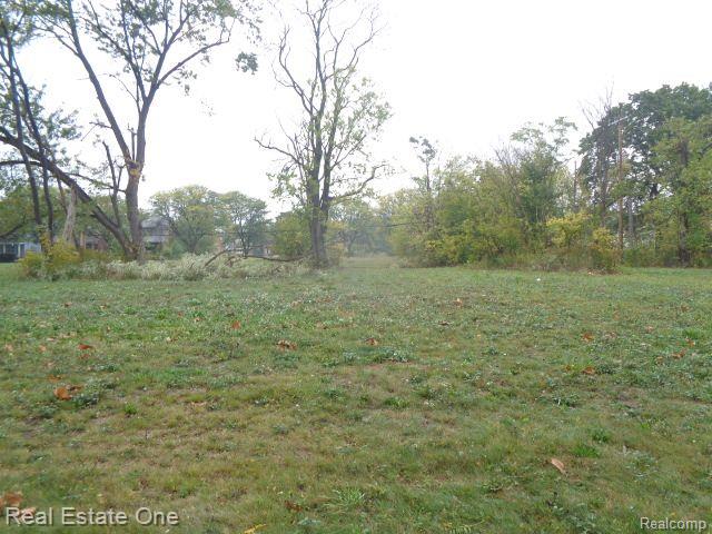 5140 W CHICAGO, Detroit, MI 48204 — Photo 4
