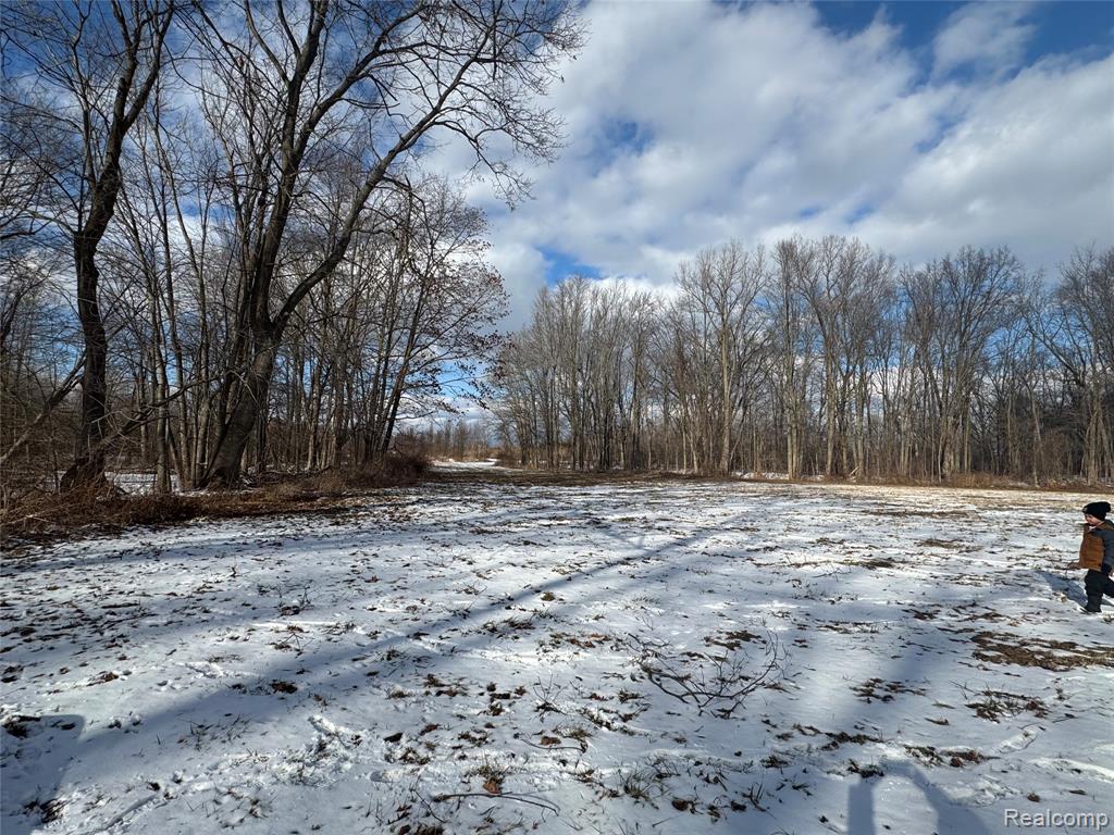 01 Remer Road, China, MI — Photo 7
