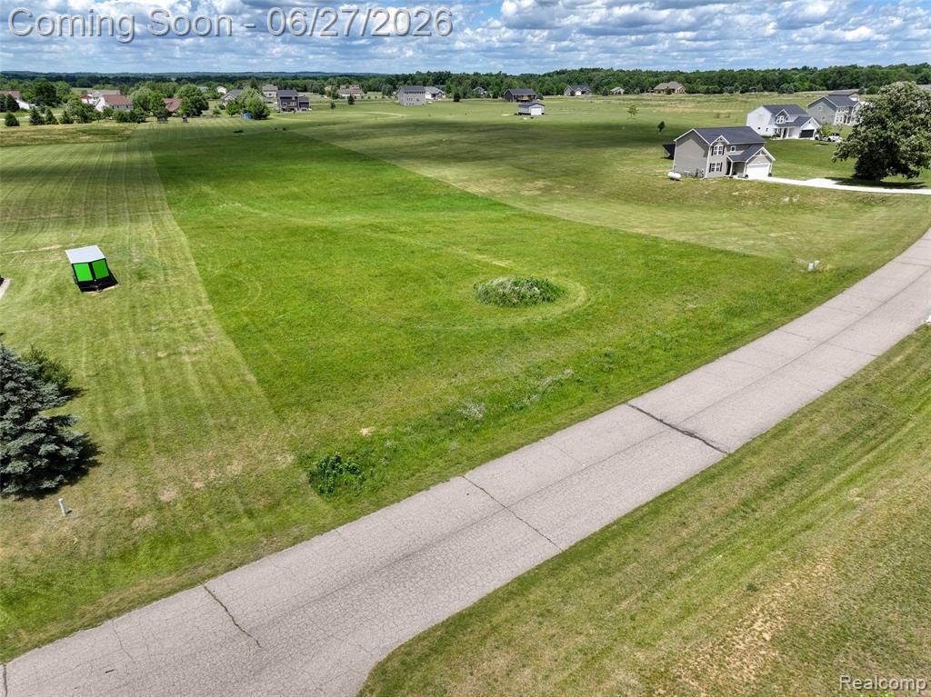 17208 Country Lane, Manchester, MI 48158 — Photo 3