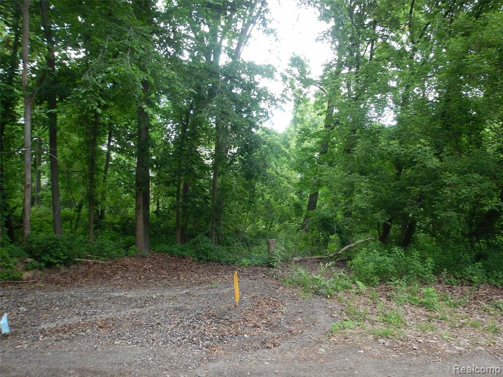 0 Johnson Drive | Lot 1, Lake Orion, MI 48362