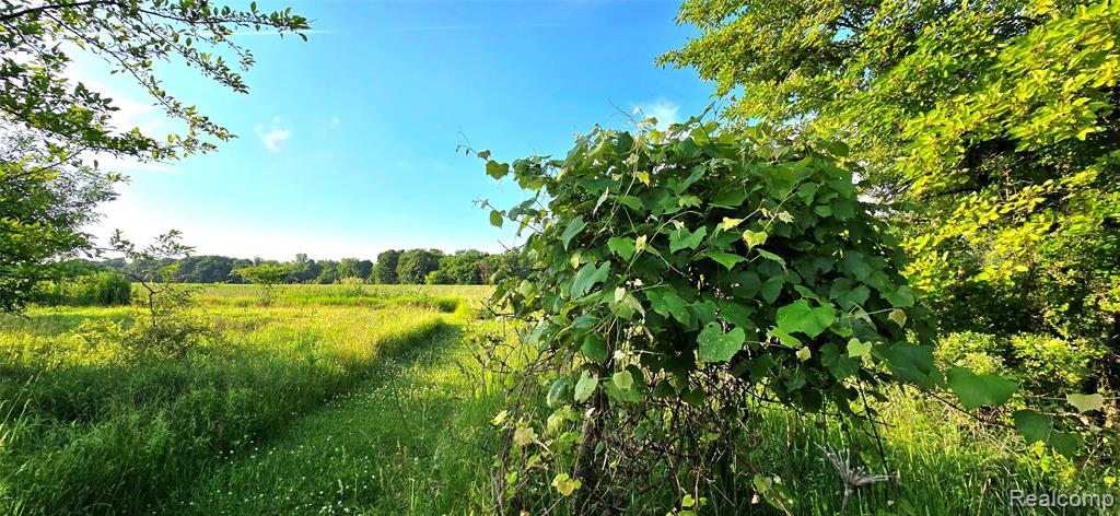 5393 Huschke Road, Webberville, MI 48892 — Photo 15