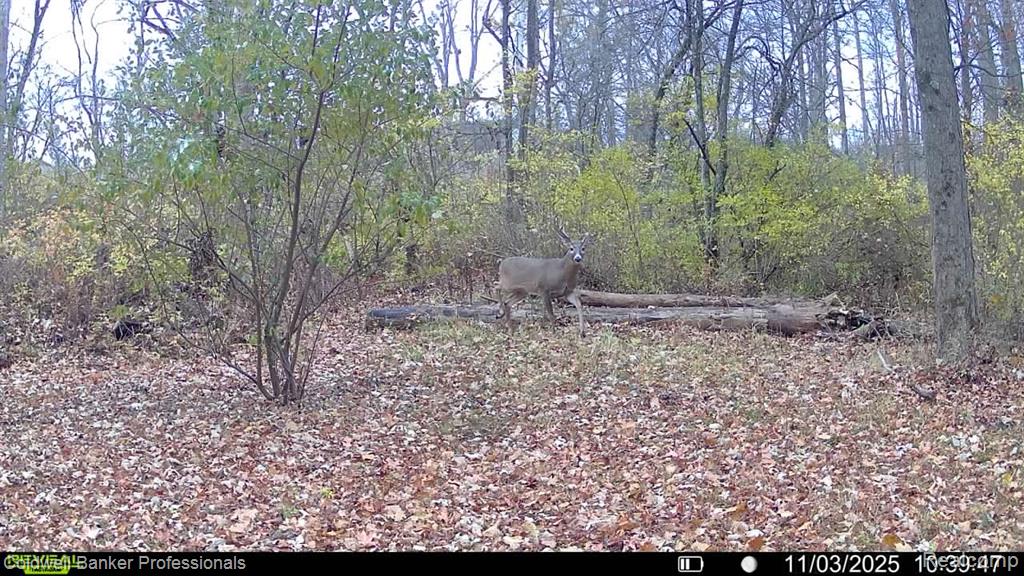 VL Rattle Run Road, St. Clair, MI 48079 — Photo 5
