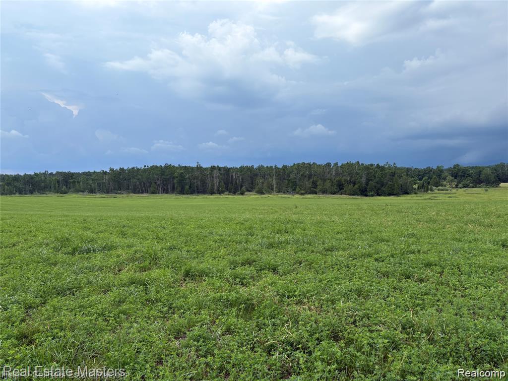 300 W Hubert Road, Spruce, MI — Photo 10