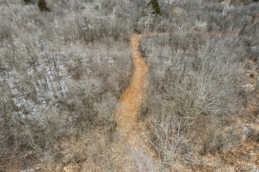 V/L BLAKE Road, Jackson, MI 49201 — Photo 41