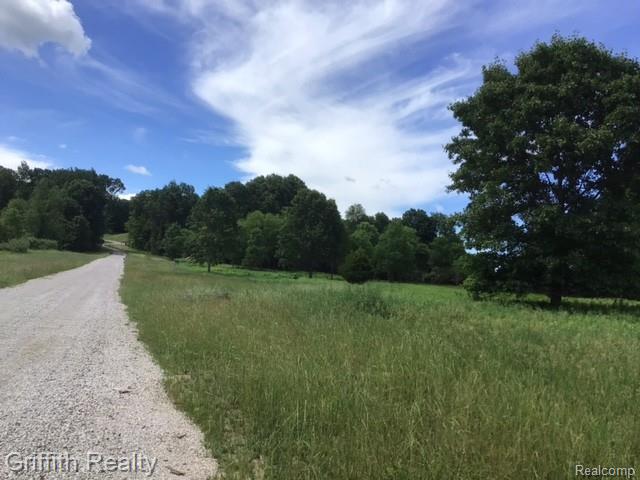 Parcel 1 E Coon Lake Road, Howell, MI 48843 — Photo 4