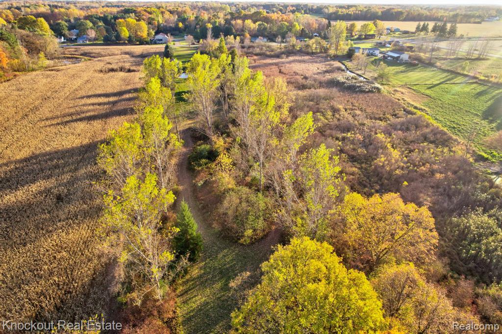 4690 Birch Run Road, Millington, MI 48746 — Photo 29