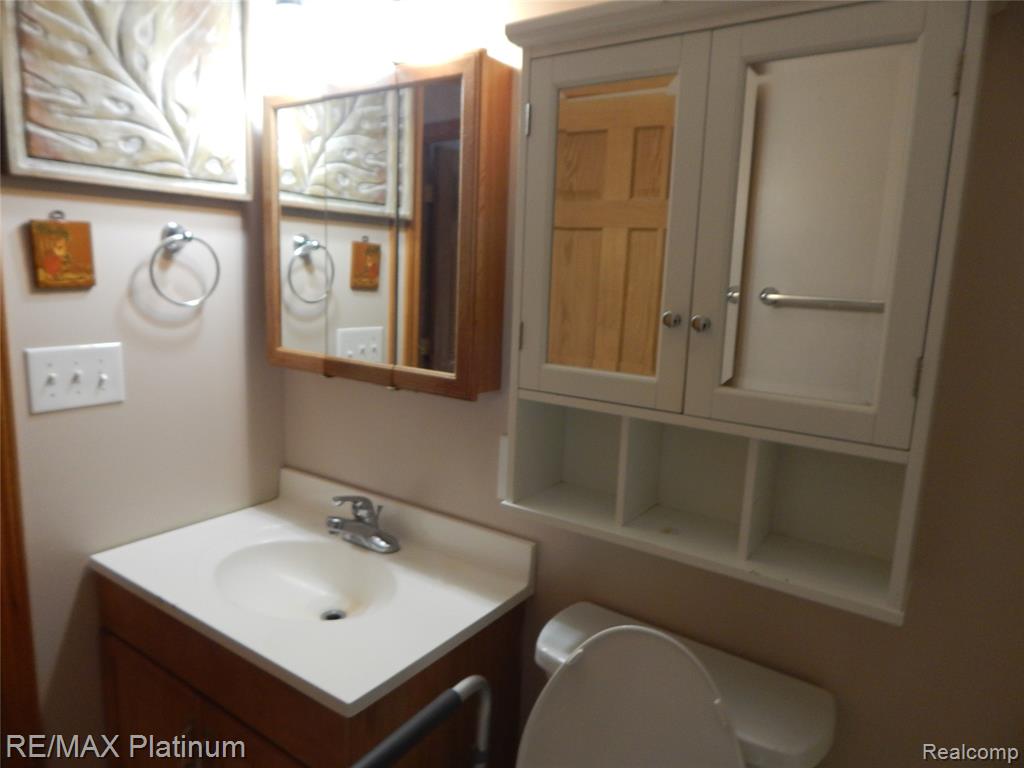10321 E Lovejoy Road, Perry, MI 48872 — Photo 28