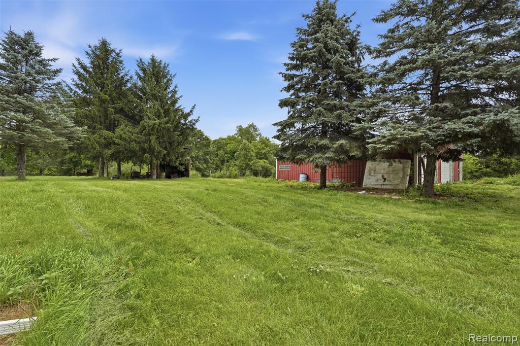 8573 W Lovejoy Road, Byron, MI 48418 — Photo 29