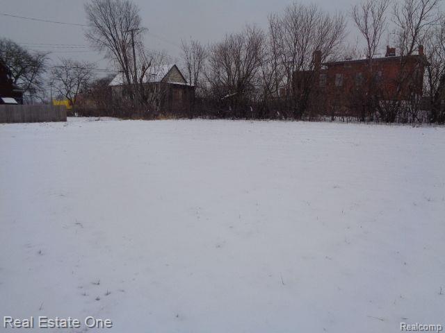 446 CONCORD Street, Detroit, MI 48207 — Photo 4