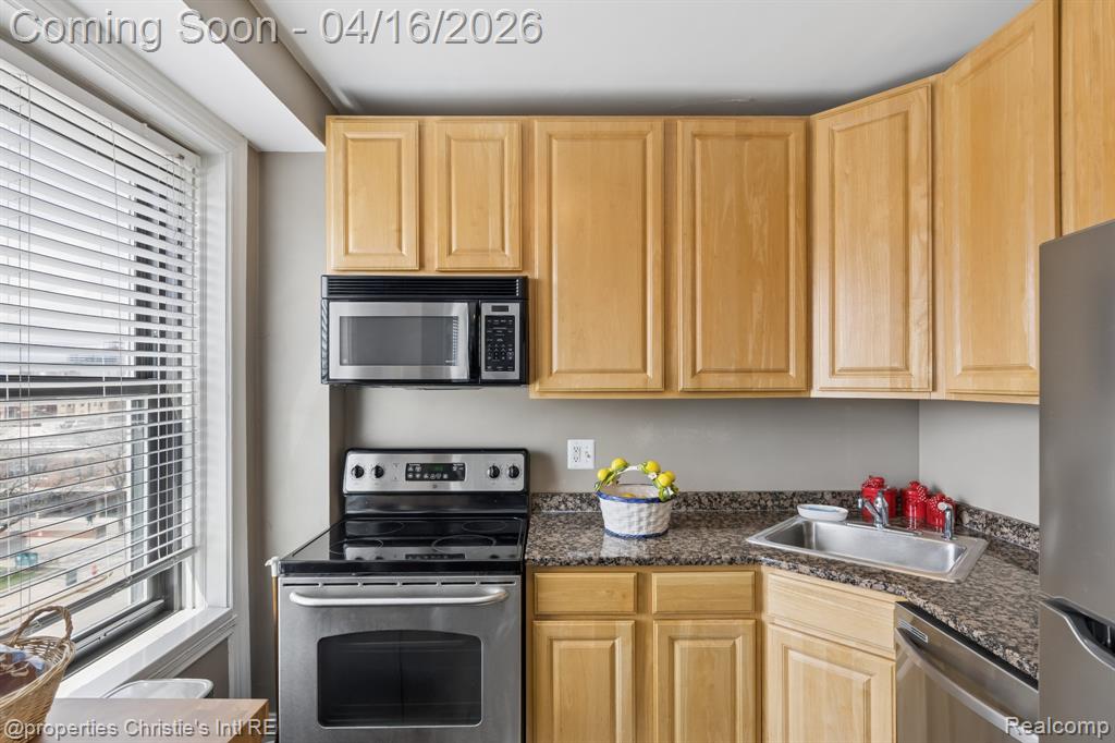 15 E Kirby Street, 420, Detroit, MI 48202 — Photo 13