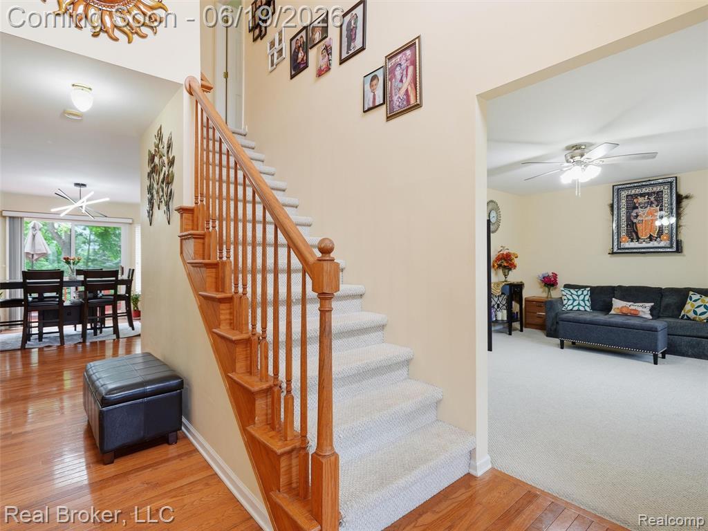 6729 Eckerman Drive, Troy, MI 48085 — Photo 8