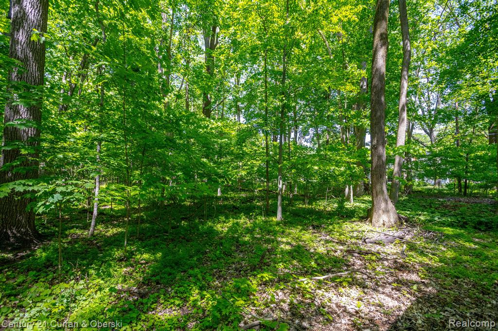 449 Hill Street, Northville, MI 48167 — Photo 43