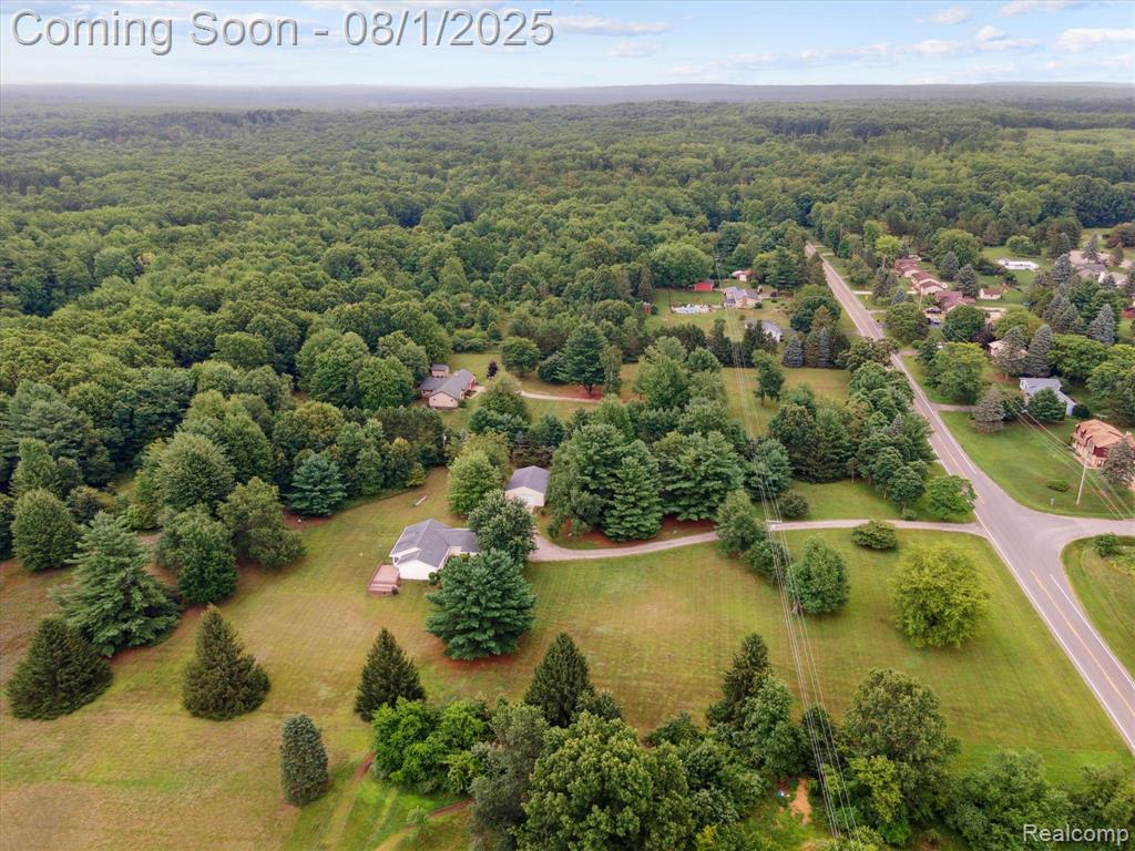 1355 E Sawdust Corners Road, Lapeer, MI 48446 — Photo 50