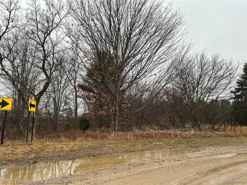 0 Cedar Rd, Fowlerville, MI 48836 — Photo 2