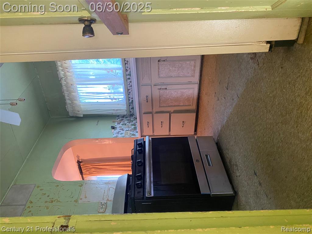 972 Tacken Street, Flint, MI 48532 — Photo 9