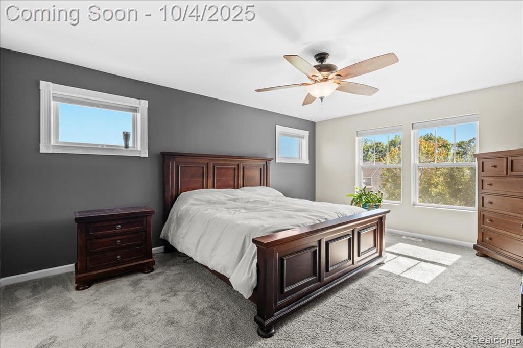 8680 Chippewa River Drive, Fowlerville, MI 48836 — Photo 15