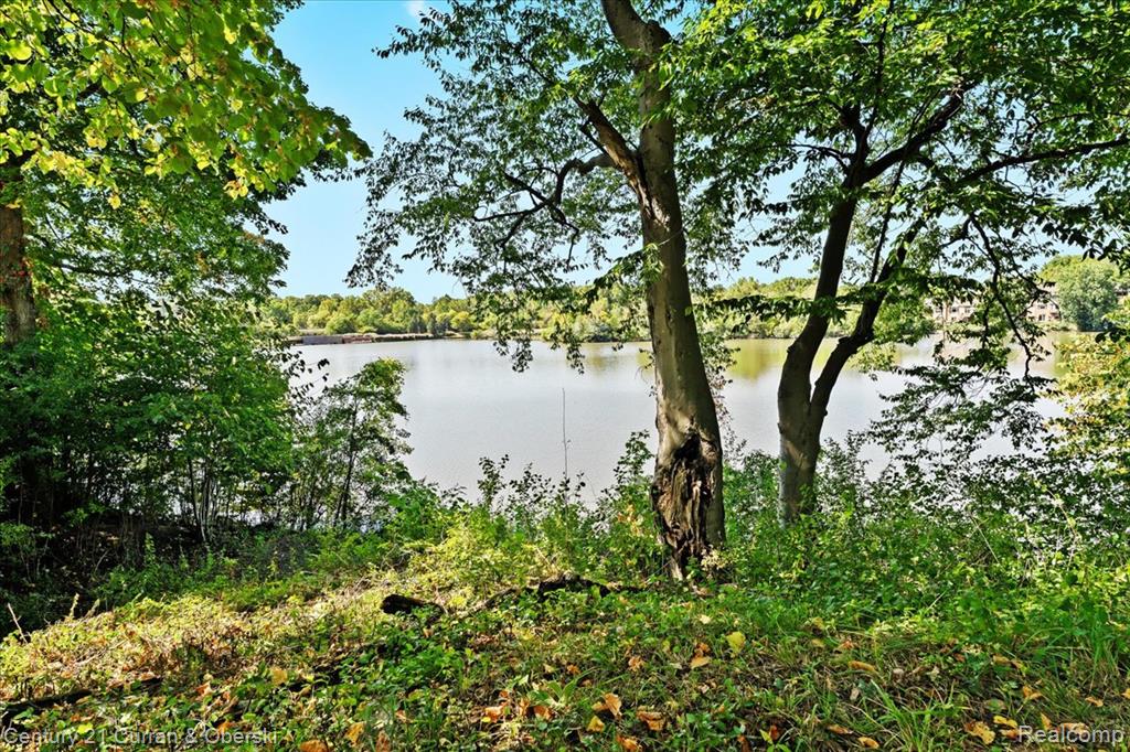 42620 Bradner Road, Northville, MI 48168 — Photo 44