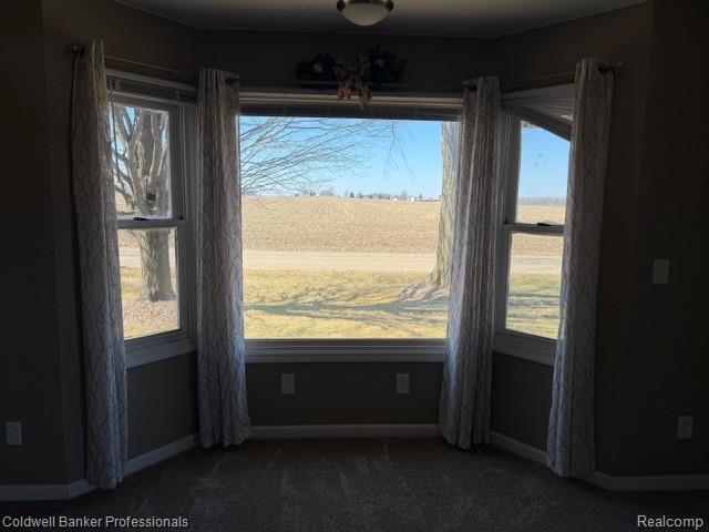 6346 Patrick Road, North Branch, MI 48461 — Photo 16