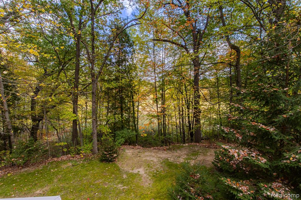 1969 Woodsman Drive, Ortonville, MI 48462 — Photo 43