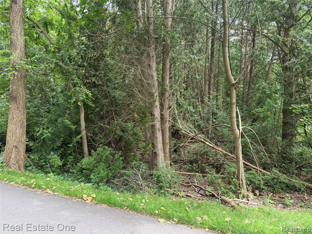 Lot 62 Plover Drive, Highland, MI — Photo 2