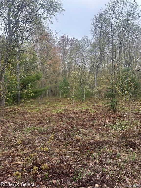 4610 SANMOTT Trail NE, Kalkaska, MI 49646 — Photo 7