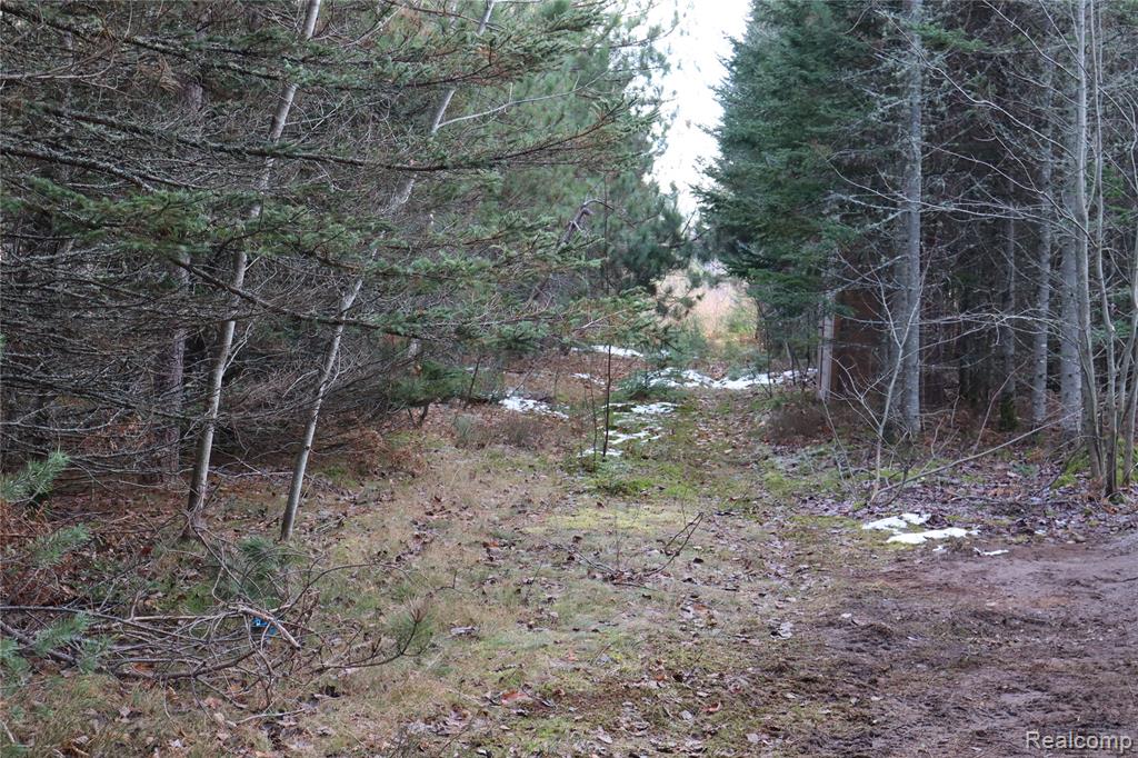 #A W Pendills Lake Road, Brimley, MI 49715 — Photo 47