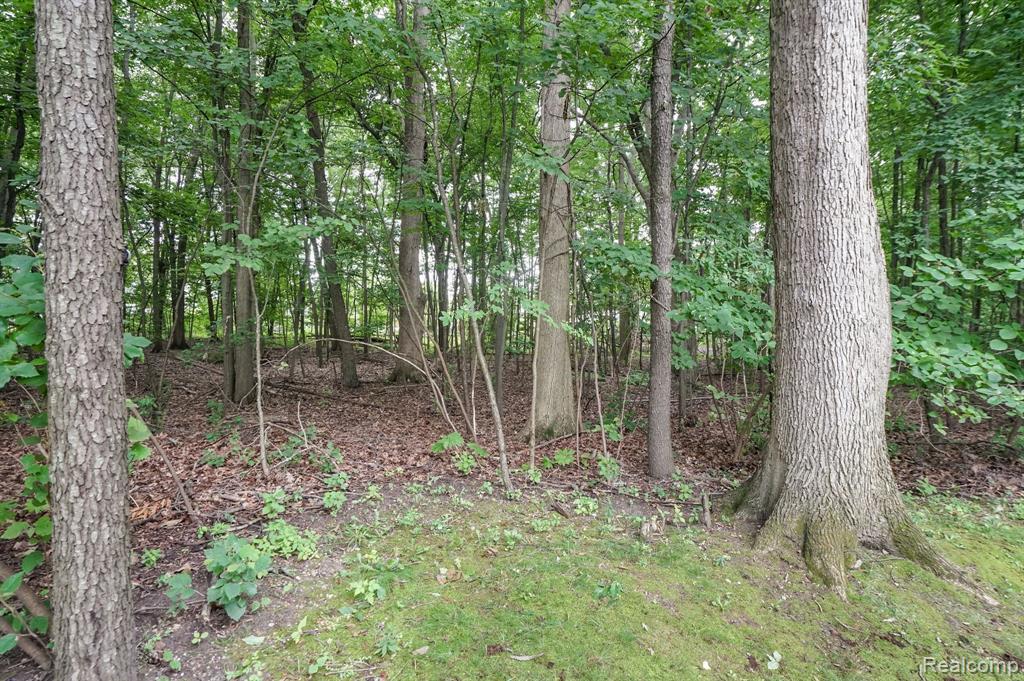 30664 VINE, Novi, MI 48377 — Photo 28