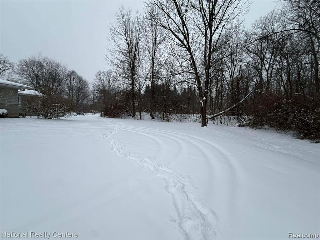 27125 Delos Road, New Boston, MI 48164 — Photo 17