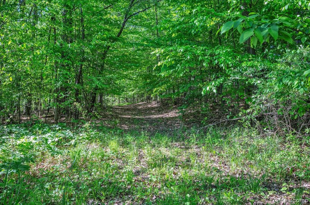 6250 Stine Road, Imlay City, MI 48444 — Photo 57