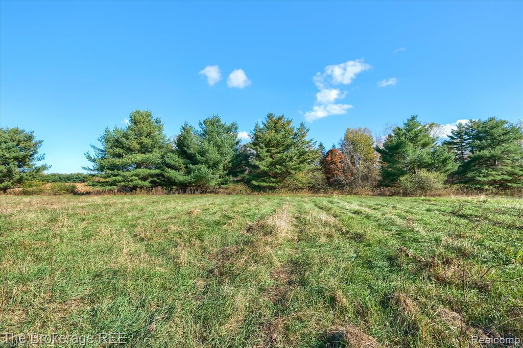 VL Janna Leigh Drive, Otter Lake, MI 48464 — Photo 12