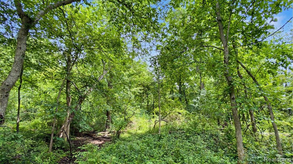 Vacant Lot- Judson Rd-Judson Park Sub, Rochester Hills, MI 48306 — Photo 22