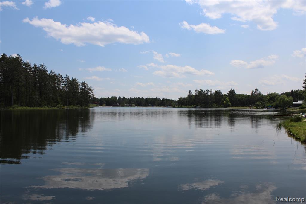 3403 Eggleston Road, Mio, MI 48647 — Photo 15