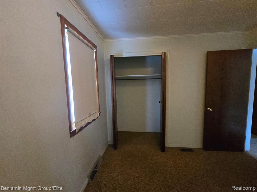 151 S Mapleleaf Road, Elba, MI 48446 — Photo 14