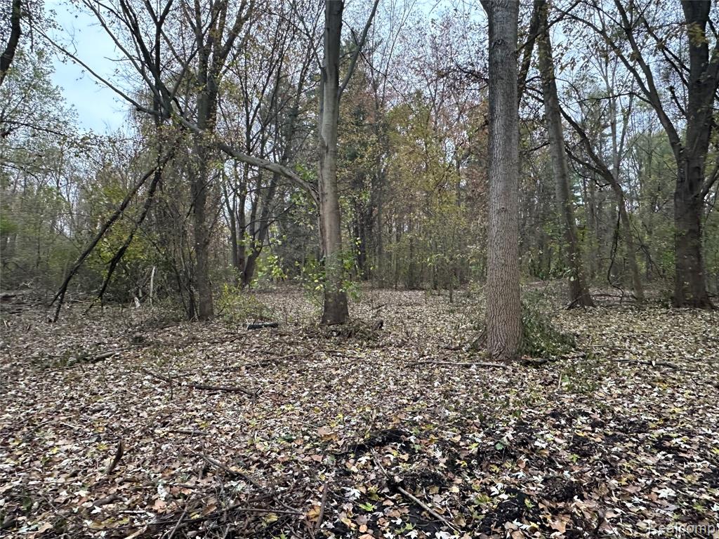 7380 Southfield Drive, Shelby Twp, MI 48316 — Photo 6