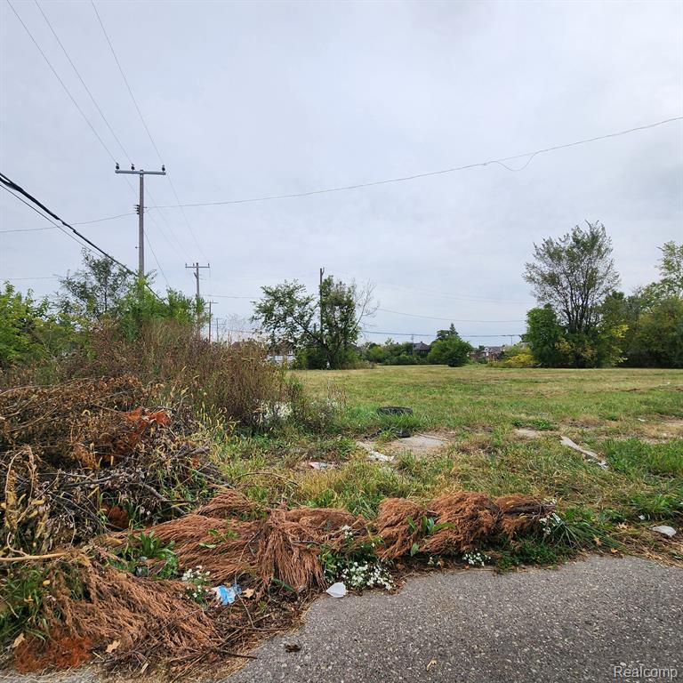 3751 LONGFELLOW Street, Detroit, MI 48206 — Photo 5
