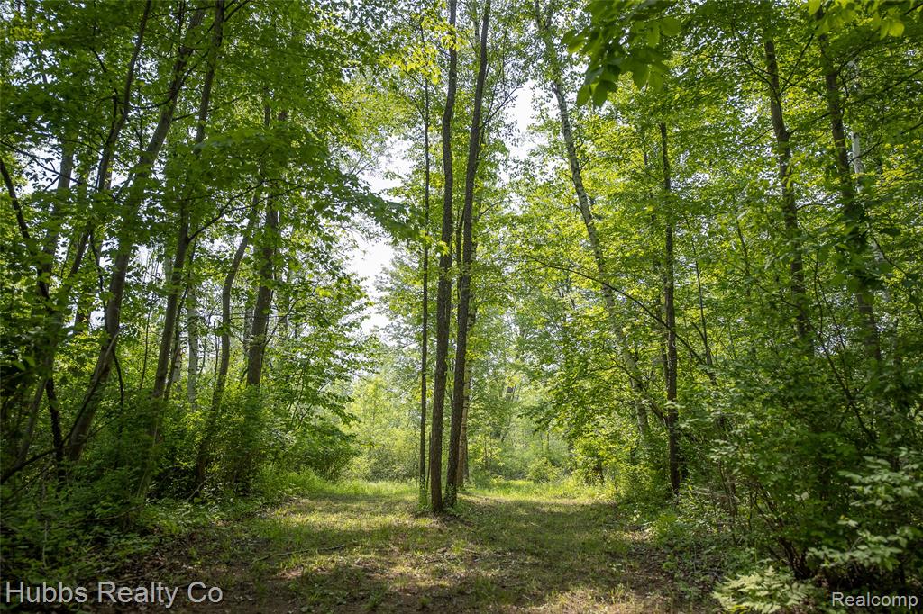 3960 Hanes Road, Vassar, MI 48768 — Photo 54