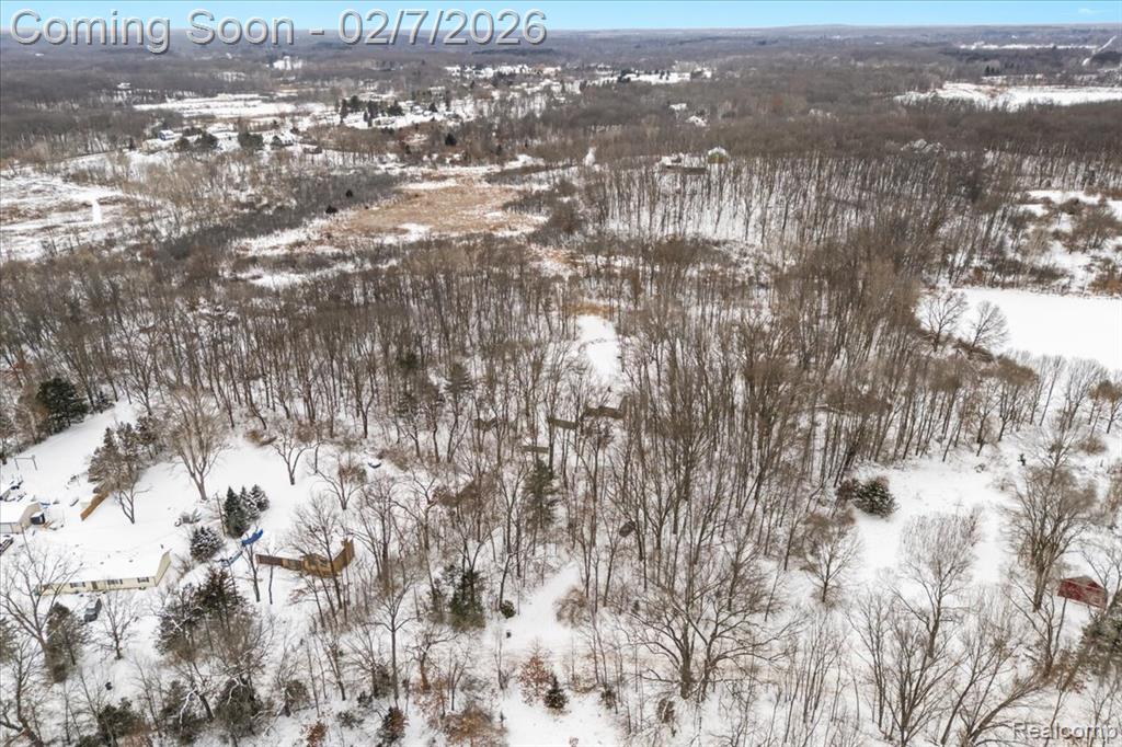 411 Rush Lake Road, Pinckney, MI 48169 — Photo 48