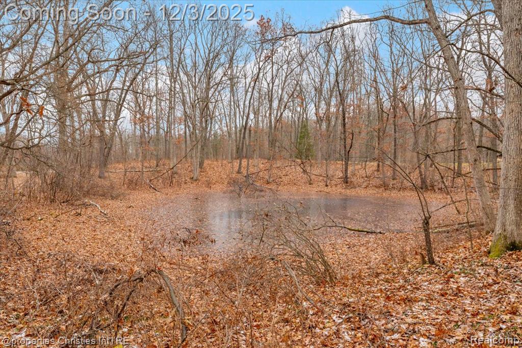 13095 Woodland Trail, Davisburg, MI 48350 — Photo 43