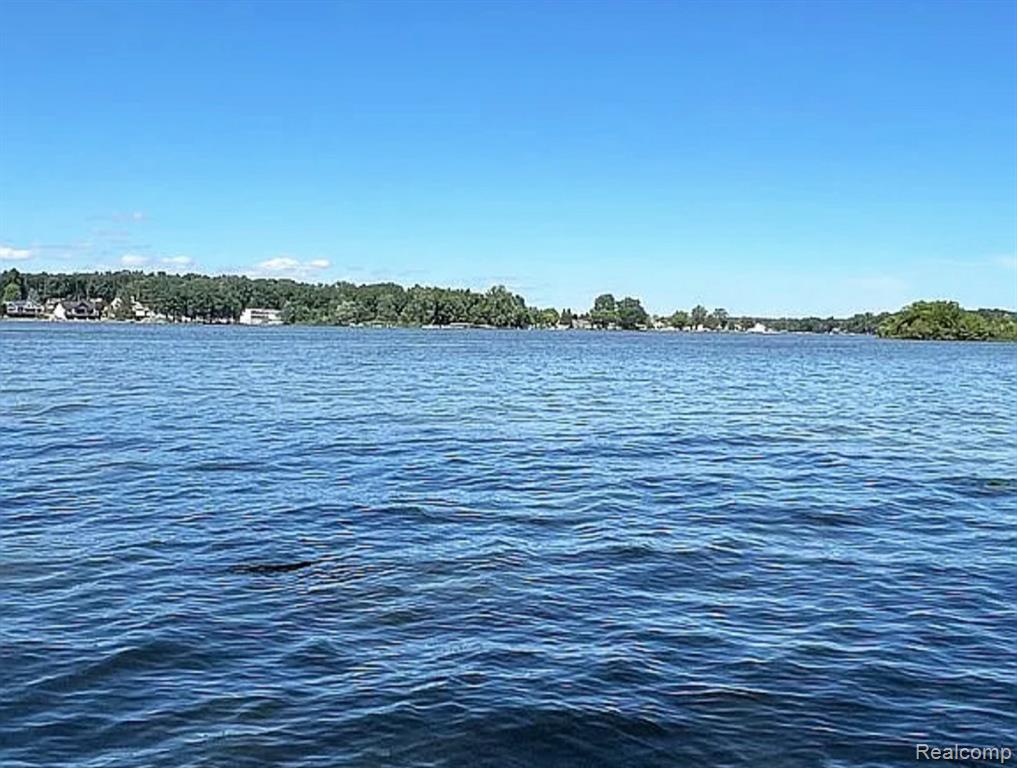 7697 Dalton Road, Onsted, MI 49265 — Photo 14