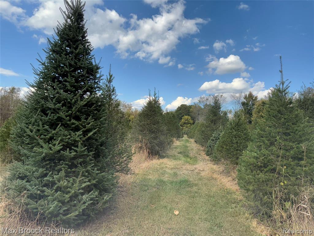 4700 Stanley Road, Columbiaville, MI 48421 — Photo 90