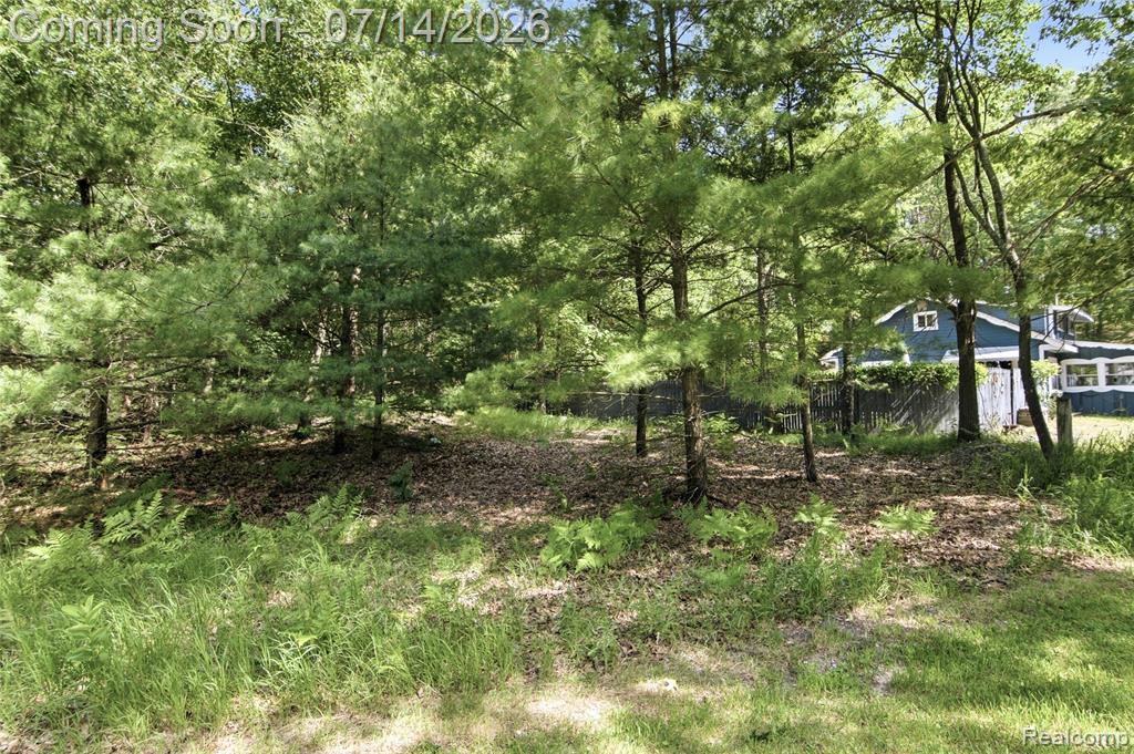 8492 N Br Us 31 Road, Pentwater, MI 49449 — Photo 40