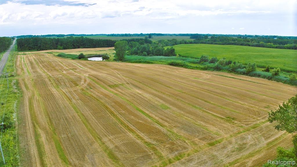 VL Custer Road, MI 48419 — Photo 12