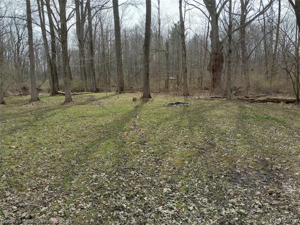 VL Rattle Run Road, St. Clair, MI 48079 — Photo 14