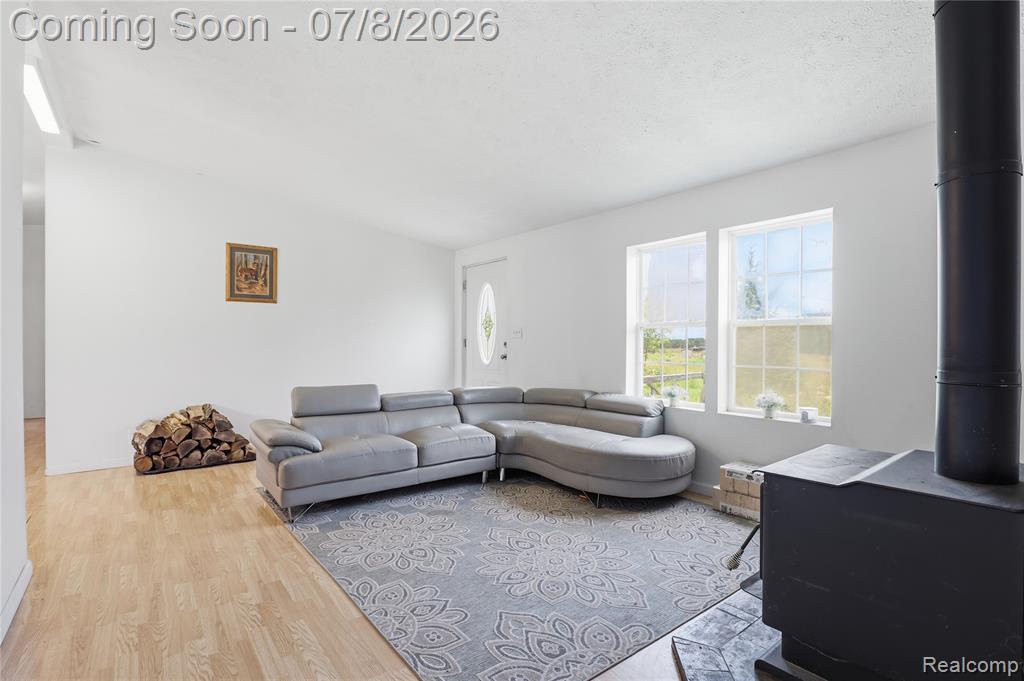 253 Park Street, Gaines Vlg, MI 48436 — Photo 4