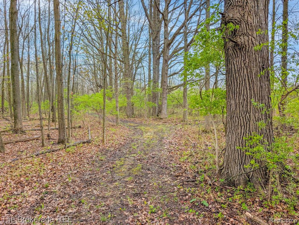 6179 W CARPENTER Road, Flushing, MI 48433 — Photo 24