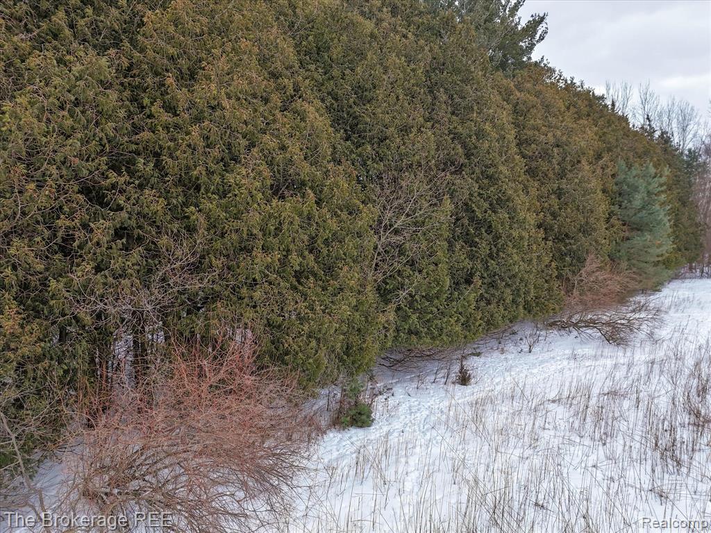 S Gera Rd, Birch Run, MI 48415 — Photo 11