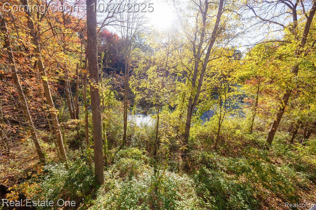 11426 Wolfort Spur, 41, Brighton, MI 48116 — Photo 39