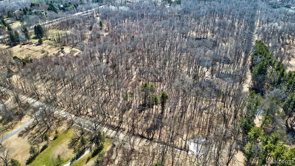 Parcel B1 Foley Road, Fenton, MI 48430 — Photo 19